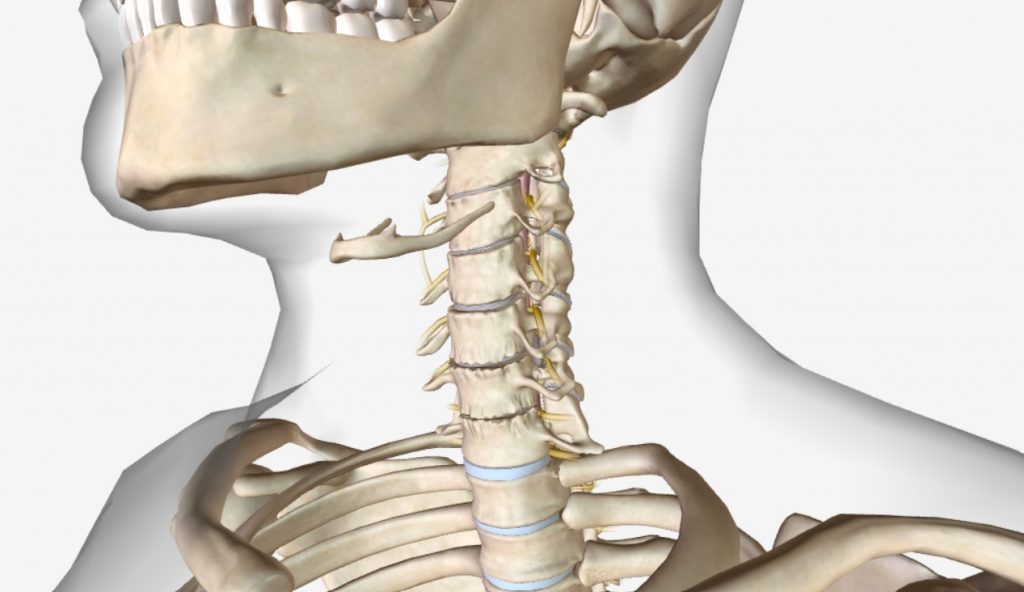 Cervical Disc Degeneration Home